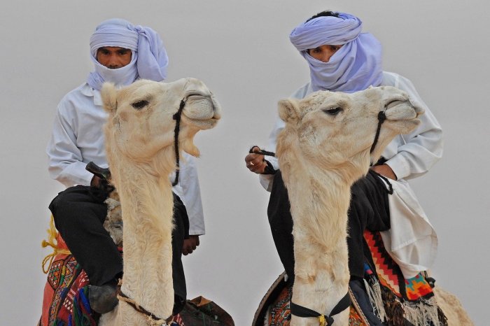 Bedouin tradition meets challenge sustainability